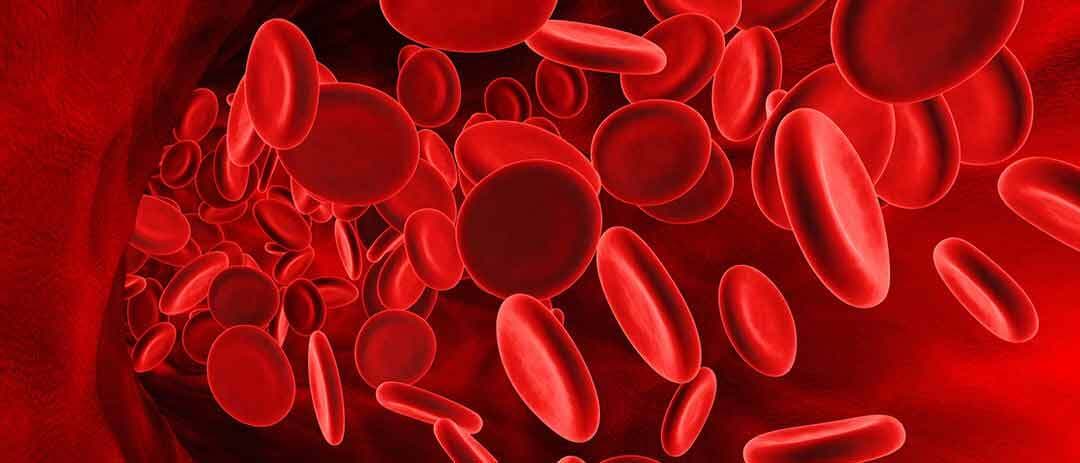 Glass vial of separated platelet-rich plasma in a gloved hand at a benchtop centrifuge, Vampire Implants™ Protocol at 5D Smiles